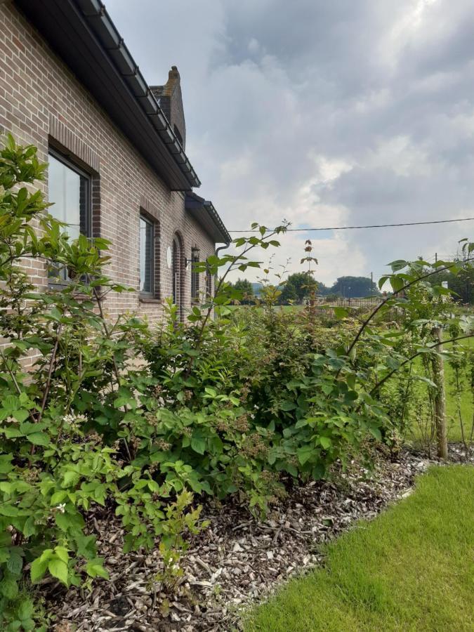 Vakantiehuis Zoetendaal Reningelst Exterior foto